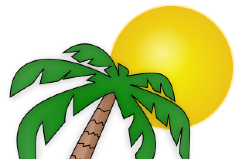 Palm Tree and Sun